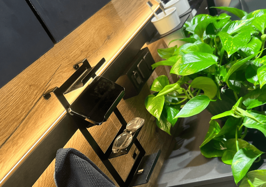 Plantas en casa